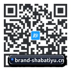 iPhone 与 iPad 专享端 二维码